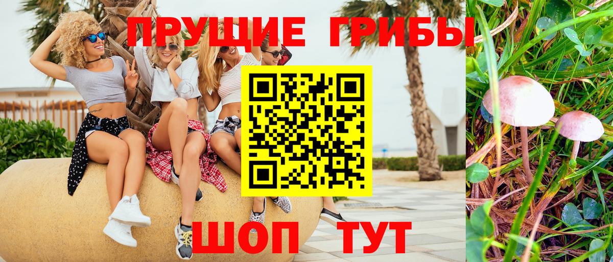 Псилоцибиновые грибы ЛСД Солнечногорск